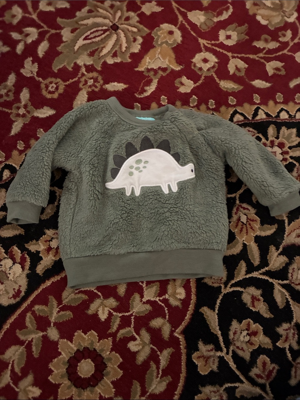 Kids Plush Green Dino Sweatshirt - Brand: